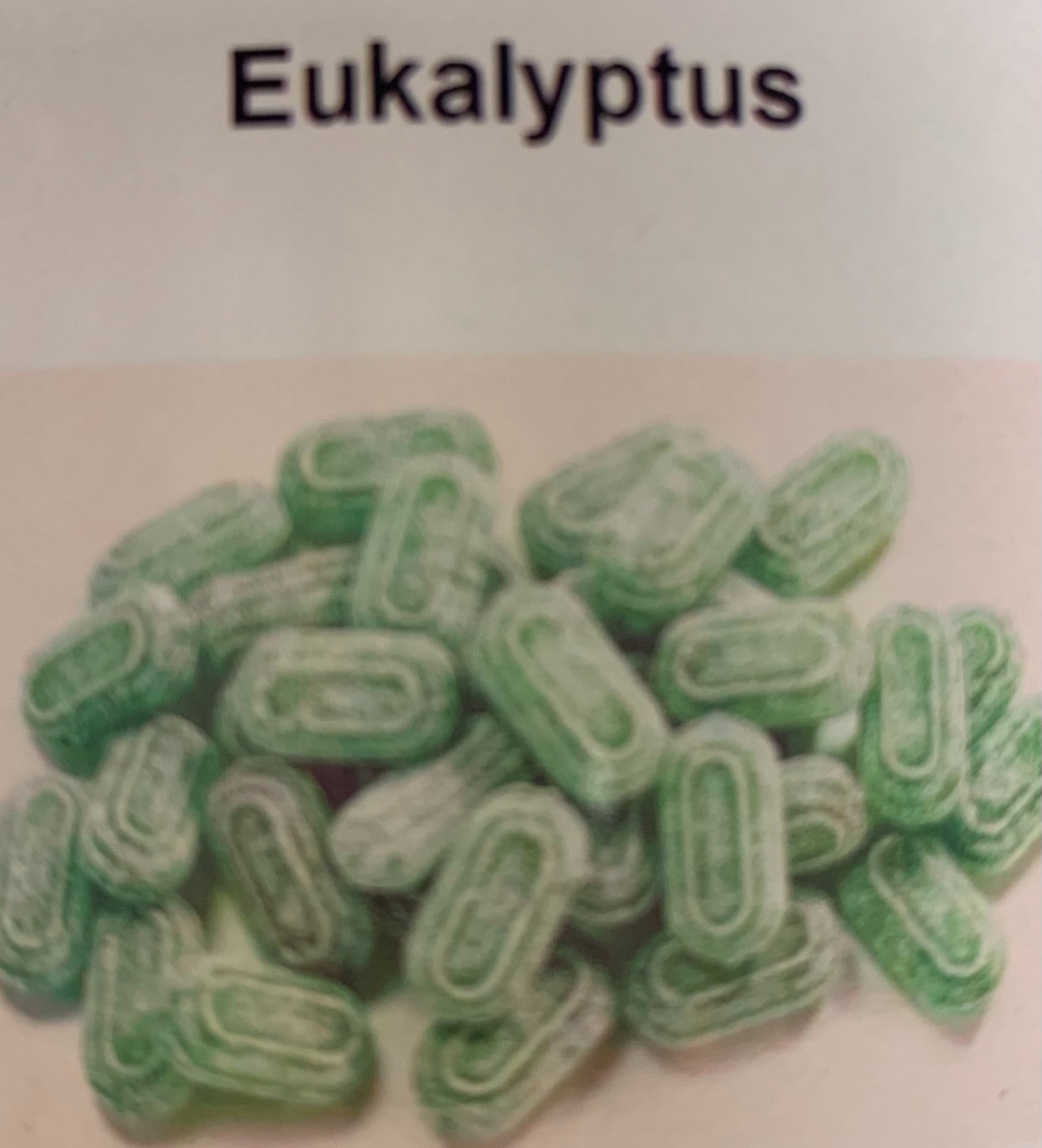 Eukalyptus