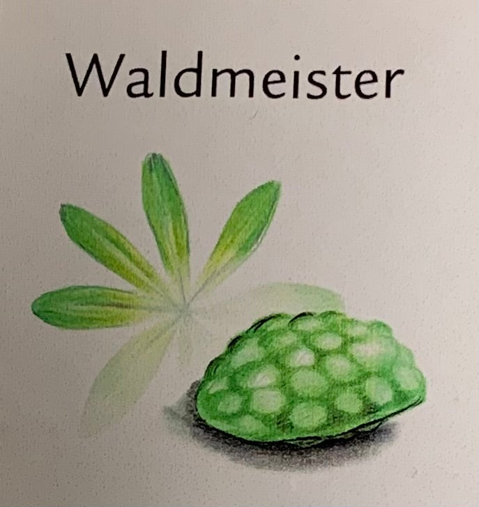Waldmeister