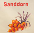 Sandorn