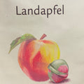 Landapfel