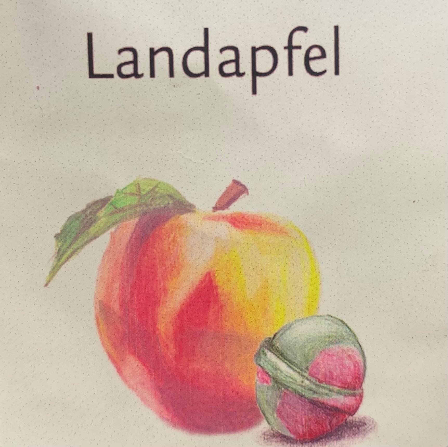 Landapfel