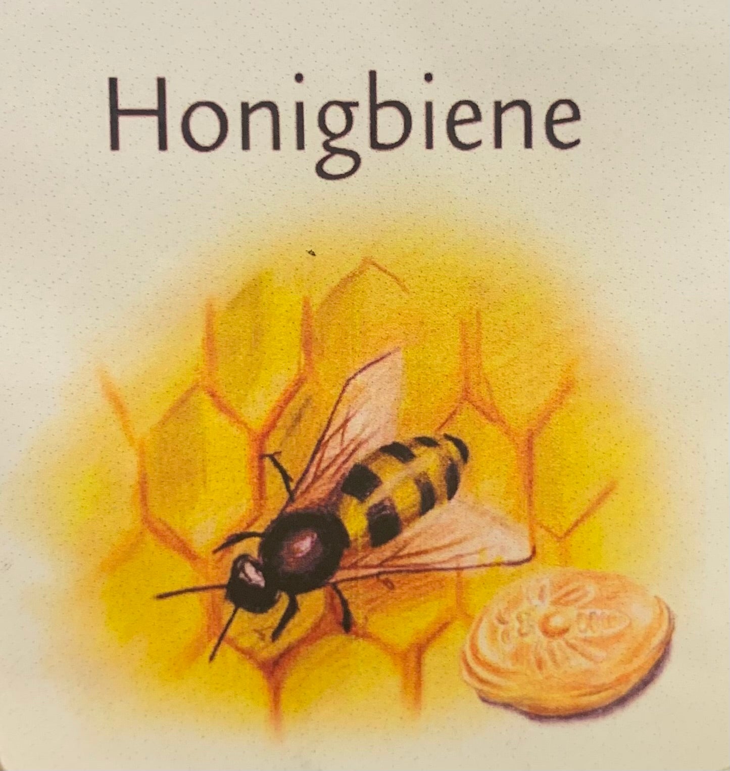 Honig